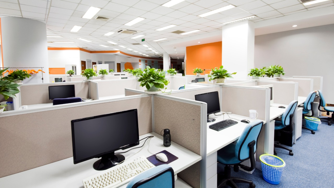 An office that is bathed in natural sunlight and air