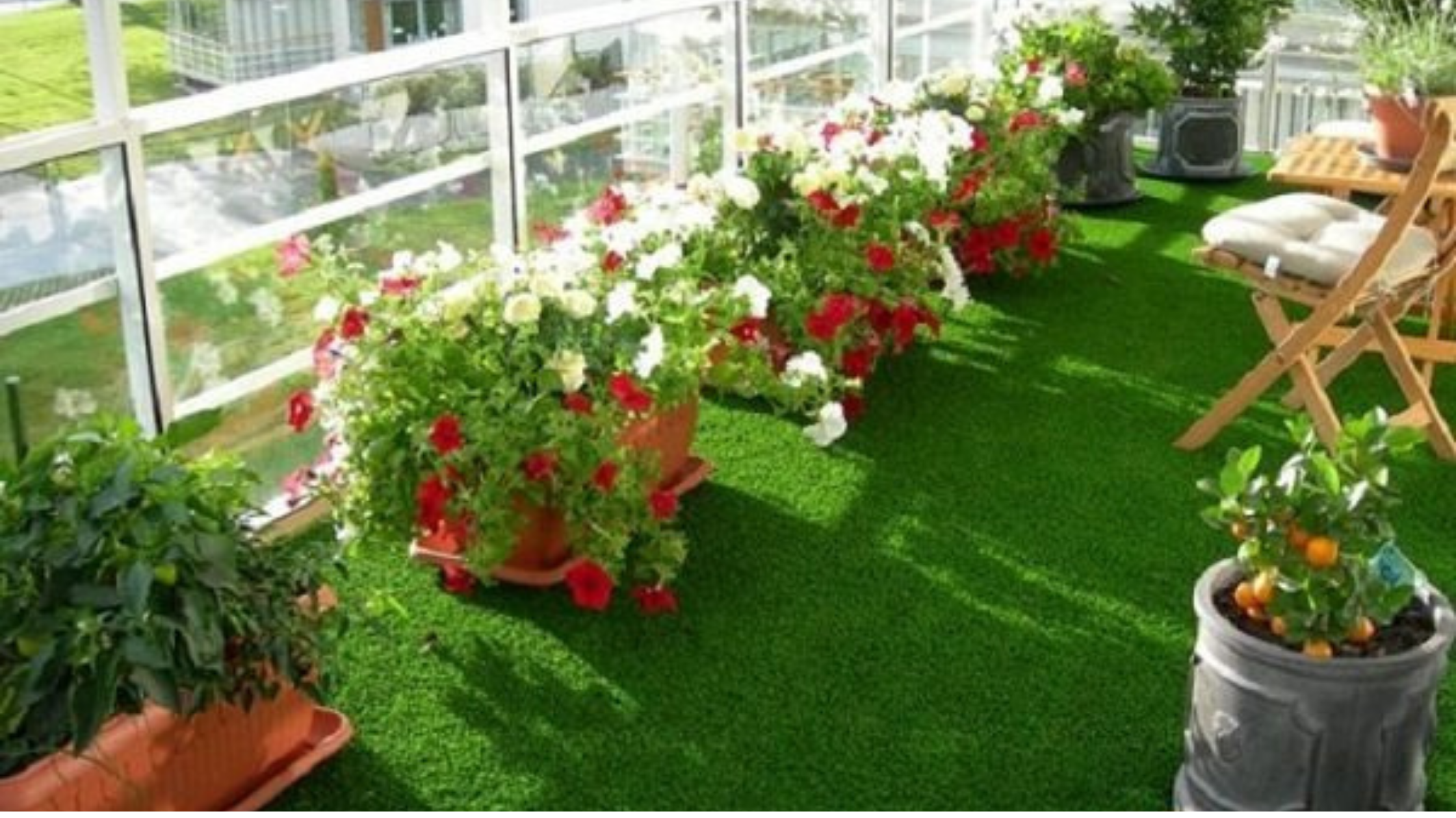 Is your balcony your new urban forest space?